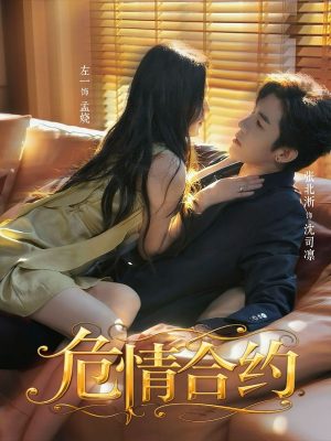 Опасный контракт (2025)